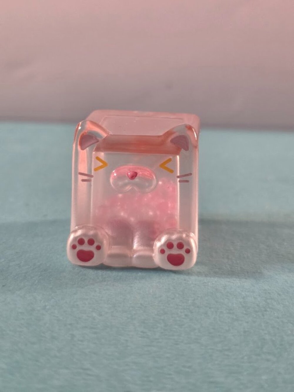 Square Ice Cube cat bean